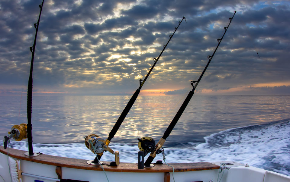 Avenue Inn and spa recommends these fishing adventures